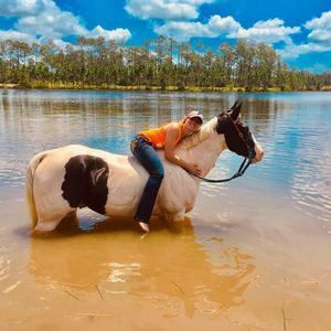 Meet your Posher, Sidney